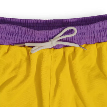 Pro Basketball Shorts